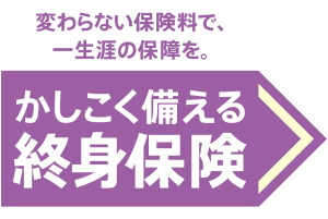 かしこく備える終身保険